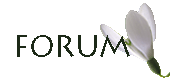 Forum