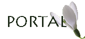 Strona Gwna